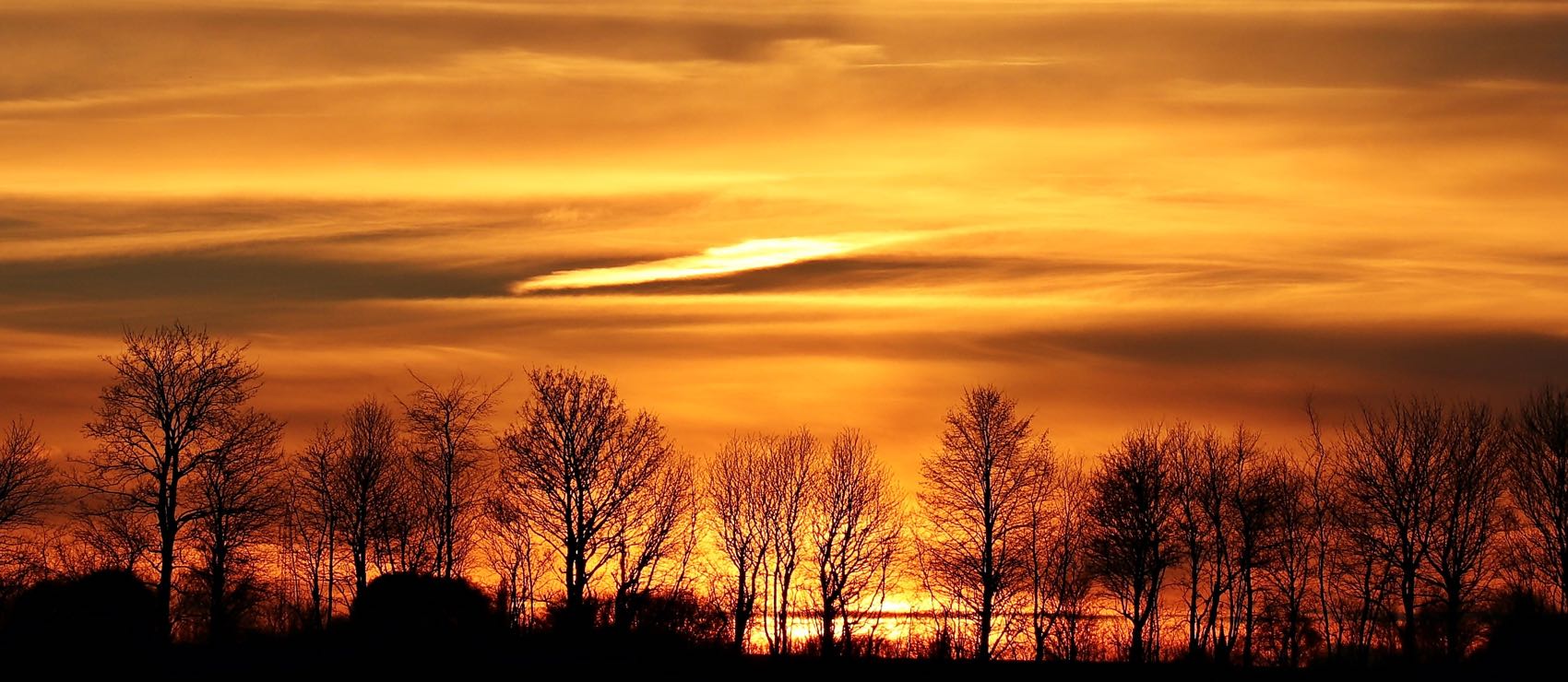 Image of stunning sun set with silhouetted trees